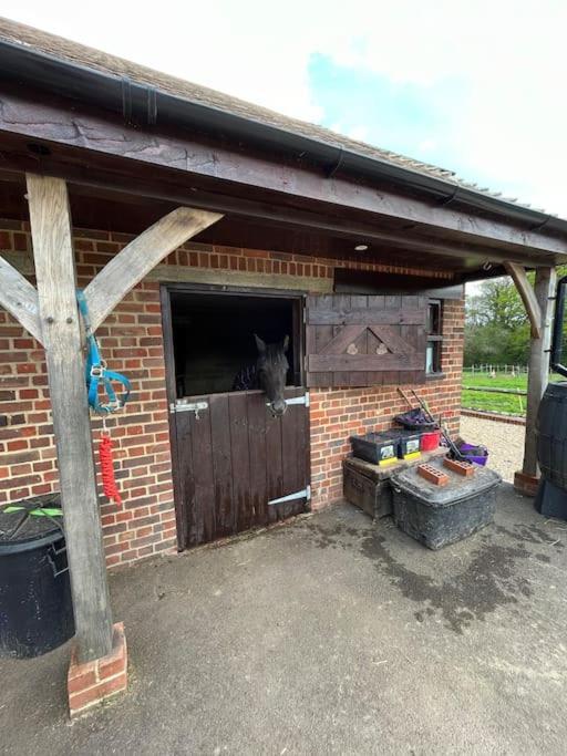 The Stable, Grove End Farm Apartment Petworth Exterior foto